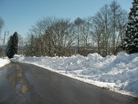 除雪された道路