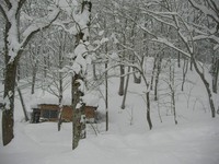 雪の松木小屋